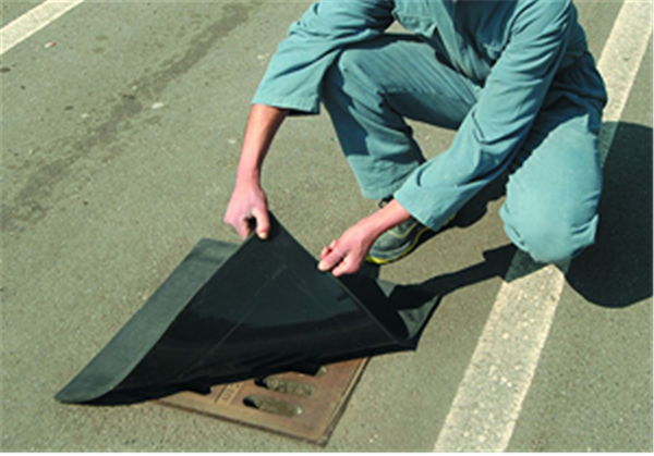 image.getImage().getMetadata('alt', app.request.locale)